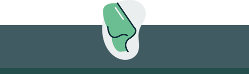 Nasal Icon